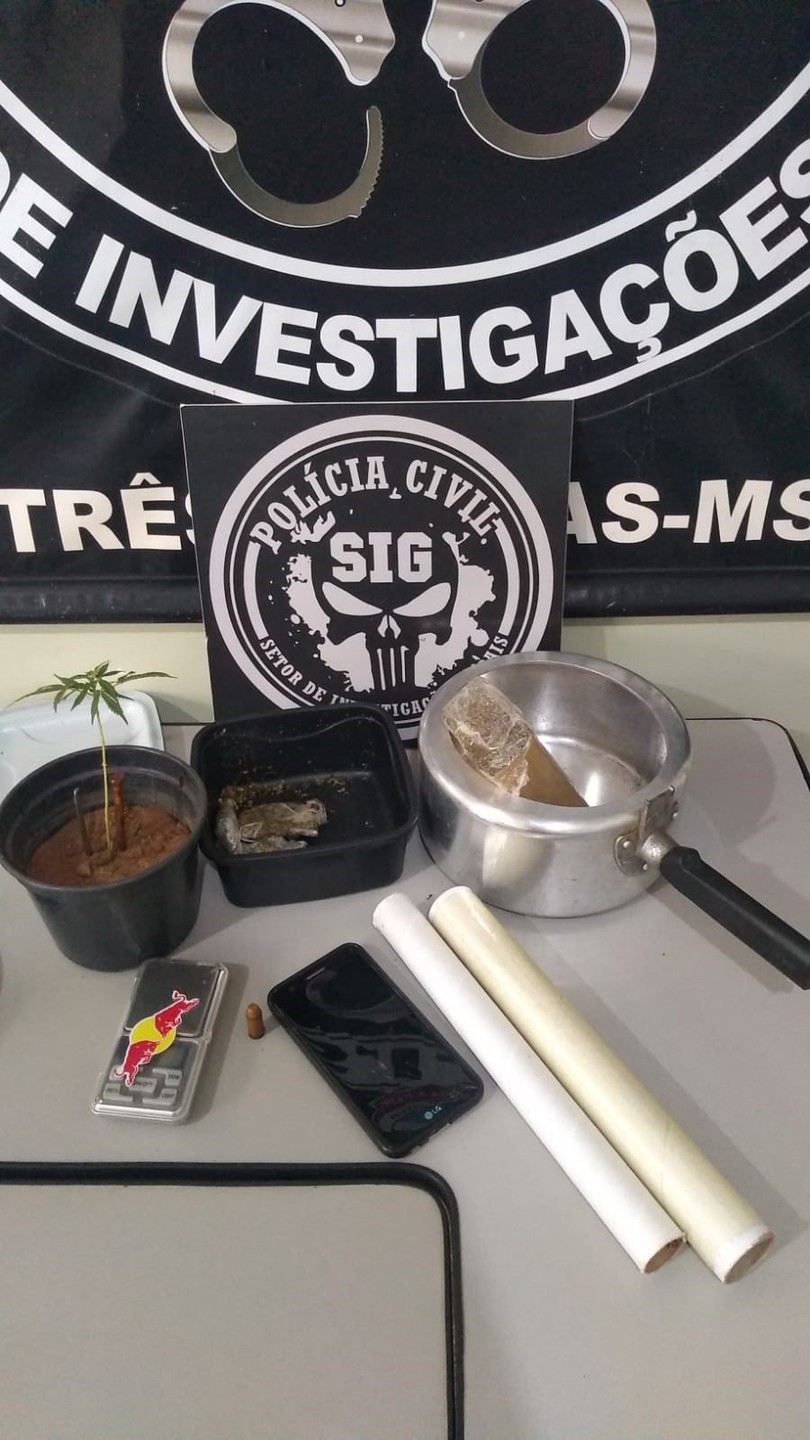 Tablete de maconha em panela de pressão e pé de maconha na geladeira, SIG tira de circulação traficante no Nova Americana - Divulgação/Polícia Civil