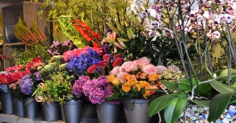 Variação nos preços das flores é elevada em floriculturas - Divulgação Procon