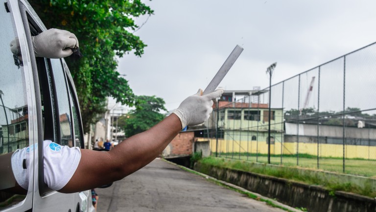 Quando presente no Aedes aegypti, a Wolbachia impede que os vírus da dengue, Zika, chikungunya e febre amarela se desenvolvam no inseto - Foto: