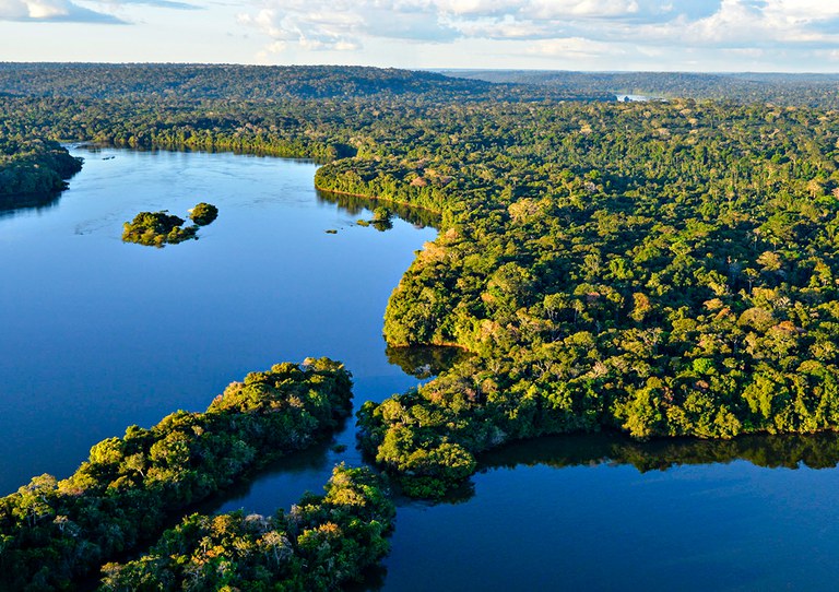 Amazon está investindo na recuperação de áreas degradadas na Amazônia - Foto: Reprodução/Adriano Gambarini