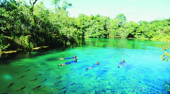 Diretor-presidente da Fundtur analisa ano de 2020 para o turismo - Foto: Portal MS