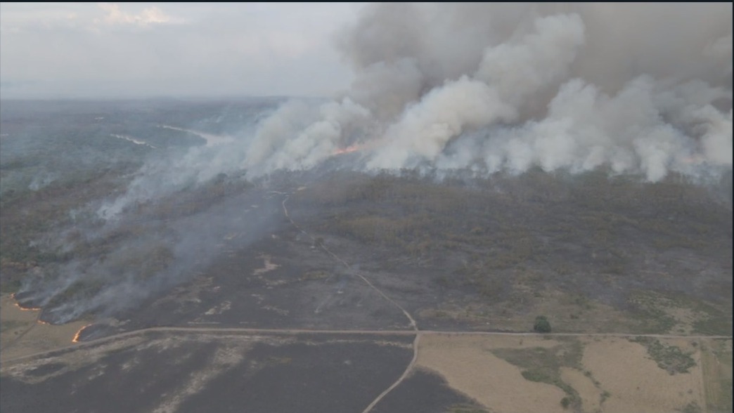 ão mais afetada está em Mato Grosso e esse fogo ultrapassou os limites de estado e entrou em Mato Grosso do Sul, na região do Paiaguás, além de ameaçar a Serra do Amolar - Foto:Gustavo Figueiroa/SOS Pantana