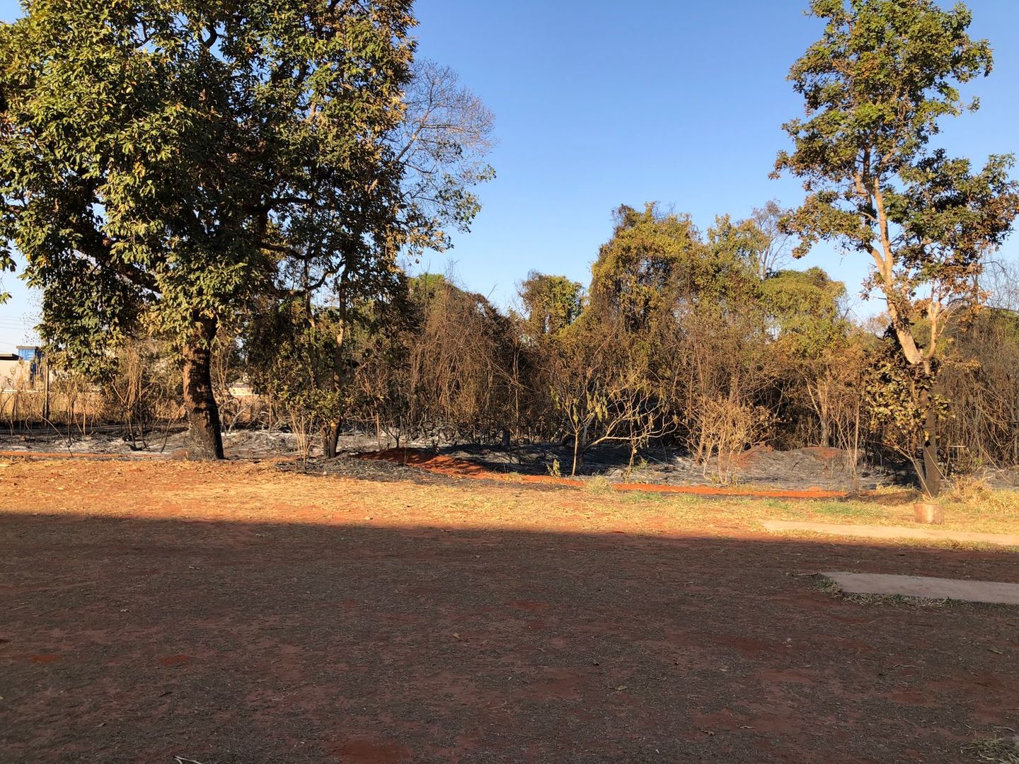 Apesar de aumento na ocorrência de incêndios, impacto de 2020 foi maior, segundo Corpo de Bombeiros - Foto: Arquivo/ CBN