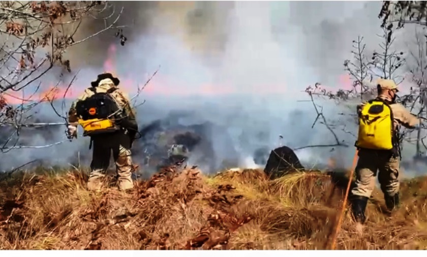 Incêndio de grandes proporções foi registrado em uma área de reserva em Brasilândia - Divulgação