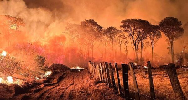 Com os parques criamos as condições perfeitas para os grandes incêndios: material para combustão e nenhum manejo de controle - Foto: Reprodução/ Acrissul