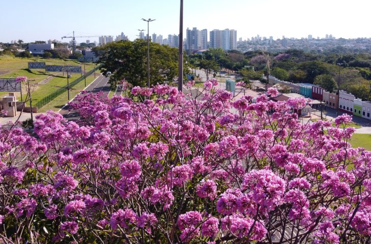 Em Campo Grande, a temperatura deve variar entre 17º e 27º C - Foto: Governo de MS