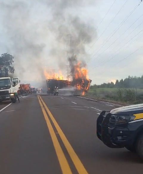 Carreta com carga de eucalipto pega foto na BR-262