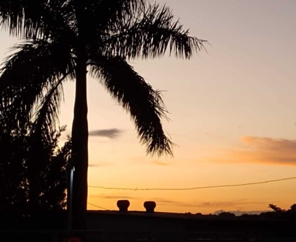 Fim de tarde em Campo Grande - Foto: Chris Reis