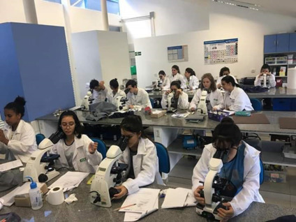 Foto curso técnico em celulose e papel - Divulgação/Assessoria