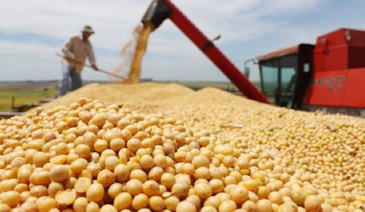 EXPECTATIVA > Produtores rurais e cooperativas esperam melhoras  no escoamento da produção do Estado - Divulgação