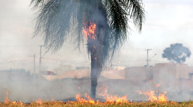 “Quando se trata de incêndios urbanos, não é difícil chegar aos culpados”, destaca tenente-coronel - Foto: Sejusp