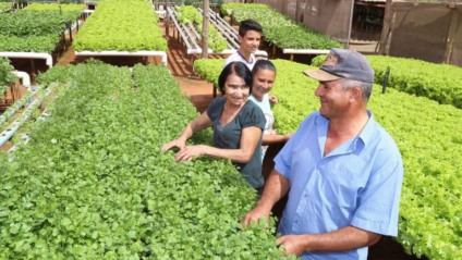 Realizado sob a coordenação da Superintendência de Fomento ao Agronegócio, que está inserida dentro da Sidagro, o Cadastro Municipal do Produtor deverá ser feito por todos os produtores e empreendedores que recebem algum tipo de serviço da Sidagro - Foto:Divulgação/PREFCG