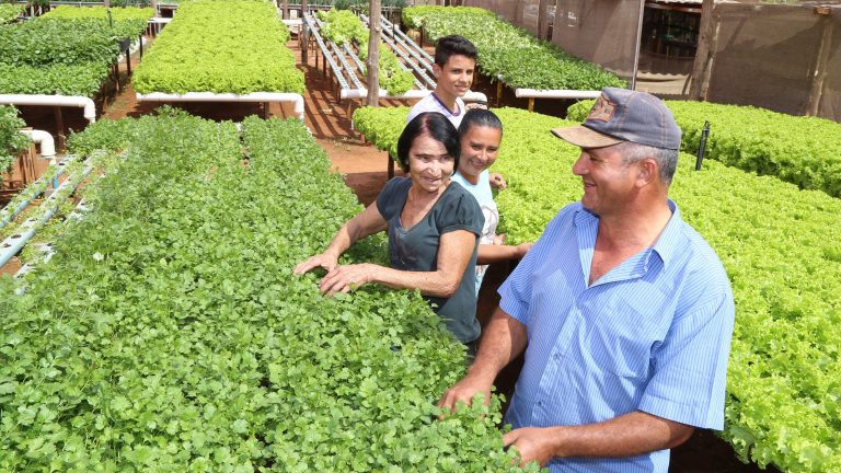 Realizado sob a coordenação da Superintendência de Fomento ao Agronegócio, que está inserida dentro da Sidagro, o Cadastro Municipal do Produtor deverá ser feito por todos os produtores e empreendedores que recebem algum tipo de serviço da Sidagro - Foto:Divulgação/PREFCG