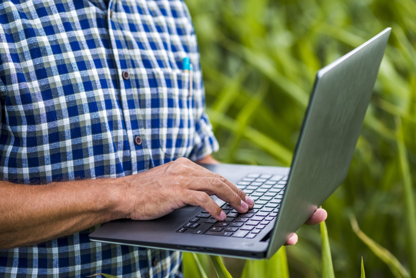 O mercado possui diversas ferramentas que podem garantir a rentabilidade do produtor rural