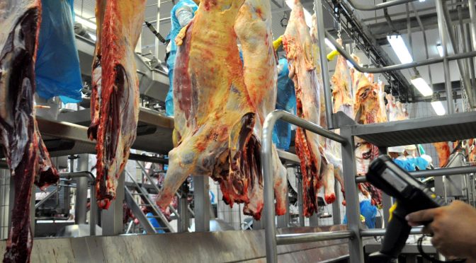 Exportações de carne bovina foram suspensas em setembro e serão retomadas - Arquivo