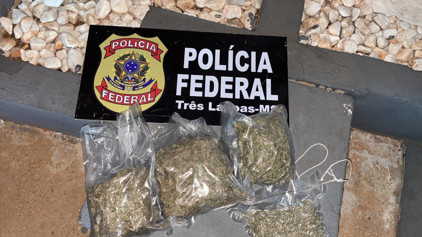 "Mula" com carro lotado de drogas é flagrado pela Polícia Federal com 720kg de maconha - Divulgação/Polícia Federal