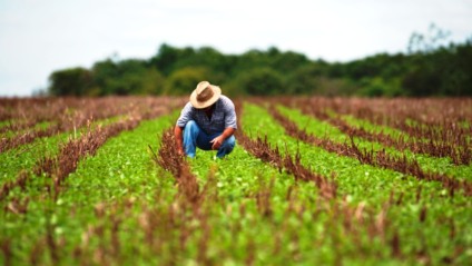 Colunista dá dicas para fazer uma gestão de risco bastante cuidadosa e eficiente - Foto: Reprodução/Web