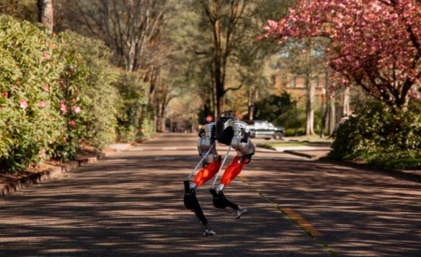 Robô da Agility Robotics percorreu 5 mil metros em 53 minutos -