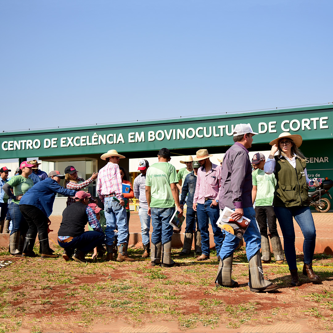 - DIVULGAÇÃO / ASSESSORIA