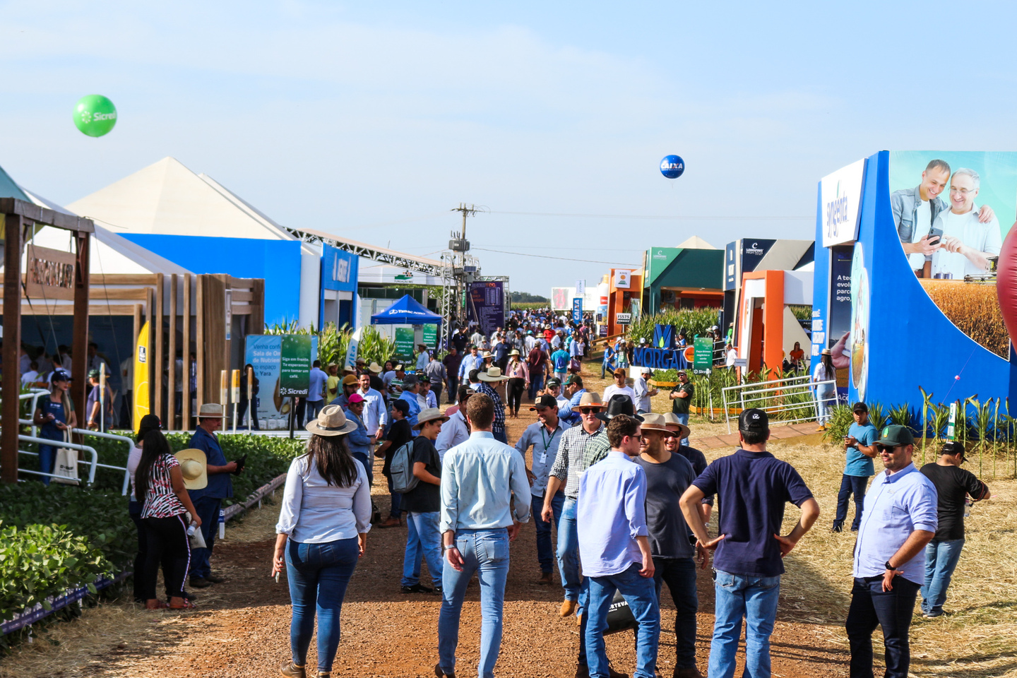 O maior evento agro de Mato Grosso do Sul, o Showtec, será realizado nos dias 23, 24 e 25 de maio - Foto: Divulgação/Fundação MS