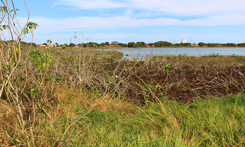 Para realizar denúncias de qualquer ação que prejudique o meio ambiente, você pode entrar em contato com a Secretaria de Meio Ambiente pelo telefone (67) 3929-1852 - Arquivo/JPNews