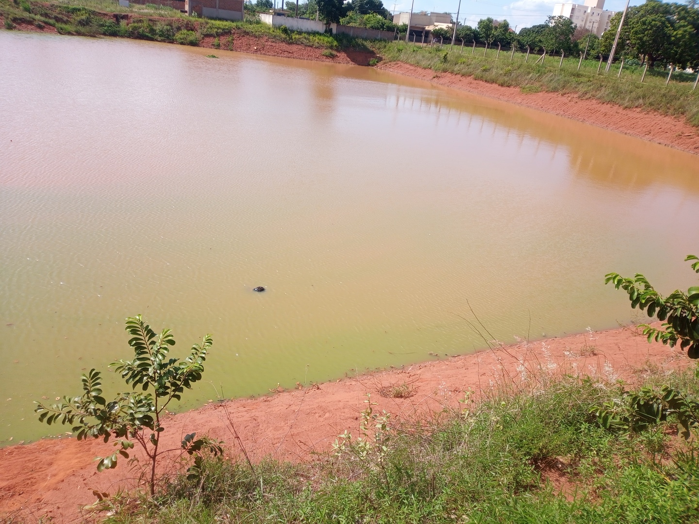 Corpo é encontrado boiando em piscinão no Vila Alegre - Alfredo Neto/JPnews