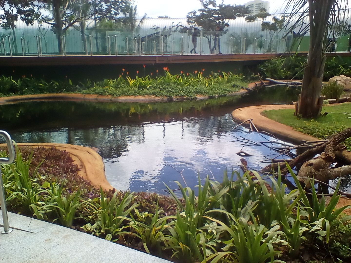 Tanque externo do Bioparque - Arquivo CBN