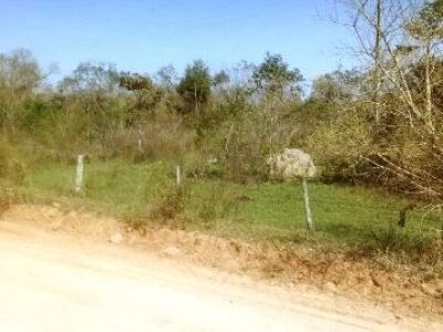 Crime teria ocorrido em 2017 em uma estrada vicinal - Arquivo/JPNews