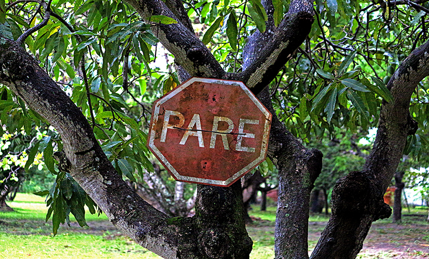 Pare para pensar! A vida é feita de ciclos, aproveite o que é bom do atual. Deus existe. A prova? Você está vivo e chegou até aqui! - Arquivo/JPNEWS