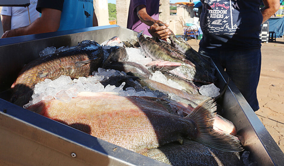 O evento acontece na quinta-feira que antecede a sexta-feira santa, neste ano a expectativa é comercializar aproximadamente 15 toneladas de pescados. - Arquivo/JPNews