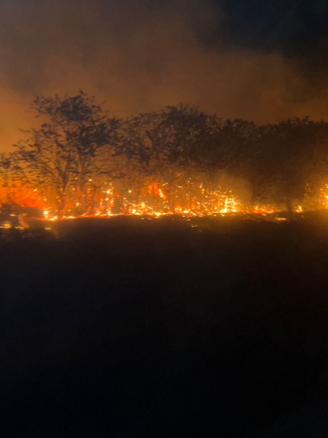 Incêndio às margens da BR-060, saída para Sidrolândia - Foto: Mateus Adriano/CBN-CG