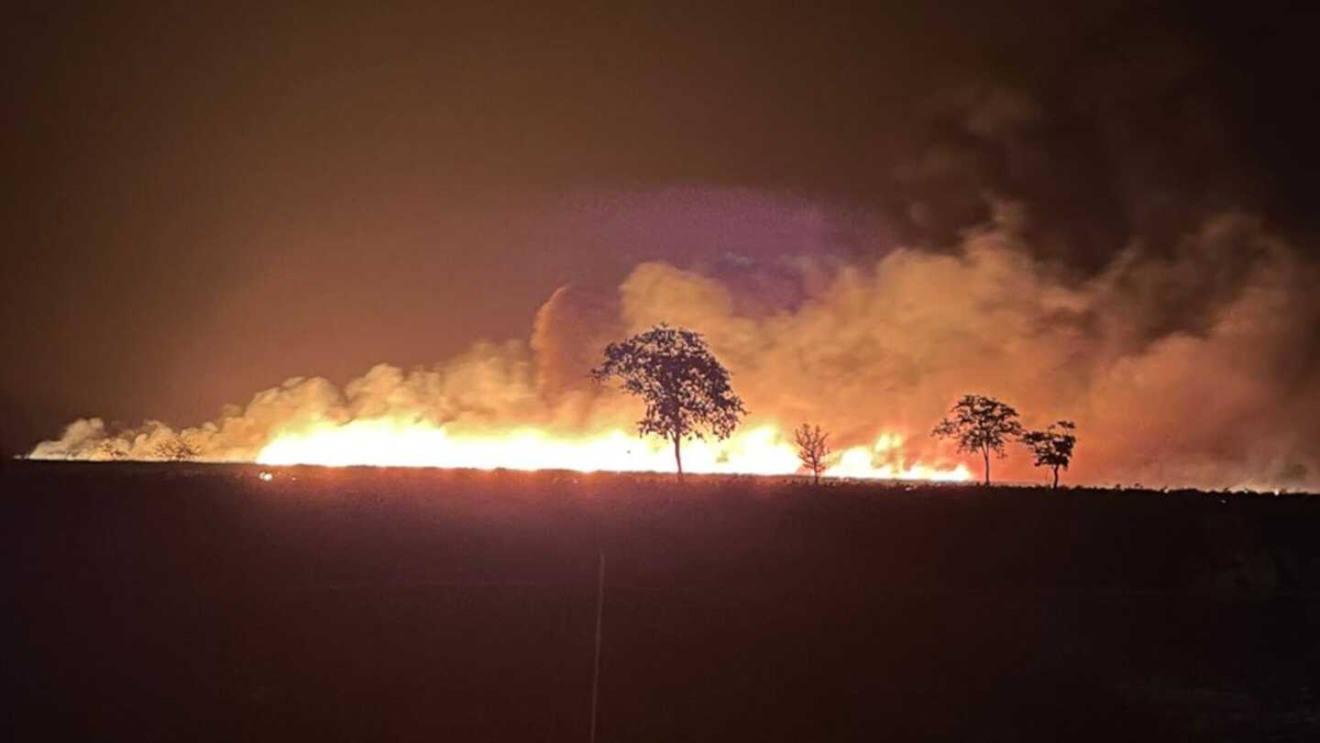 Chamas atingiram o canavial de uma usina - Foto: Reprodução/Rede Social