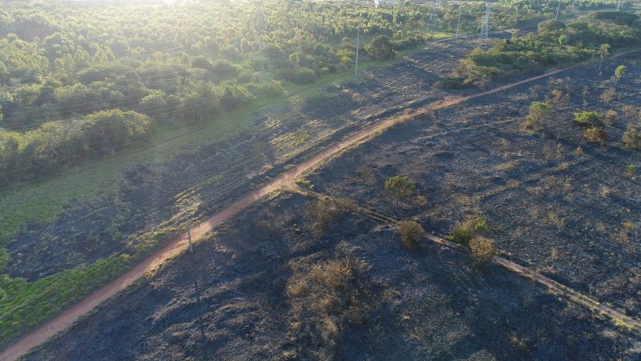 Incêndio criminoso destruiu quase 20 hectares de mata em área de reserva em Três Lagoas - Divulgação