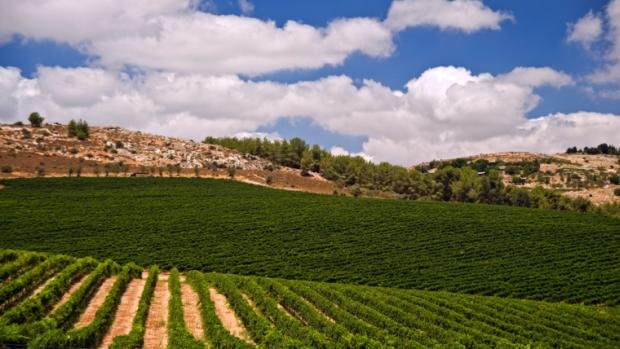 Israel é um pais que produz muito bem, mesmo em clima predominantemente desértico - Foto:Reprodução