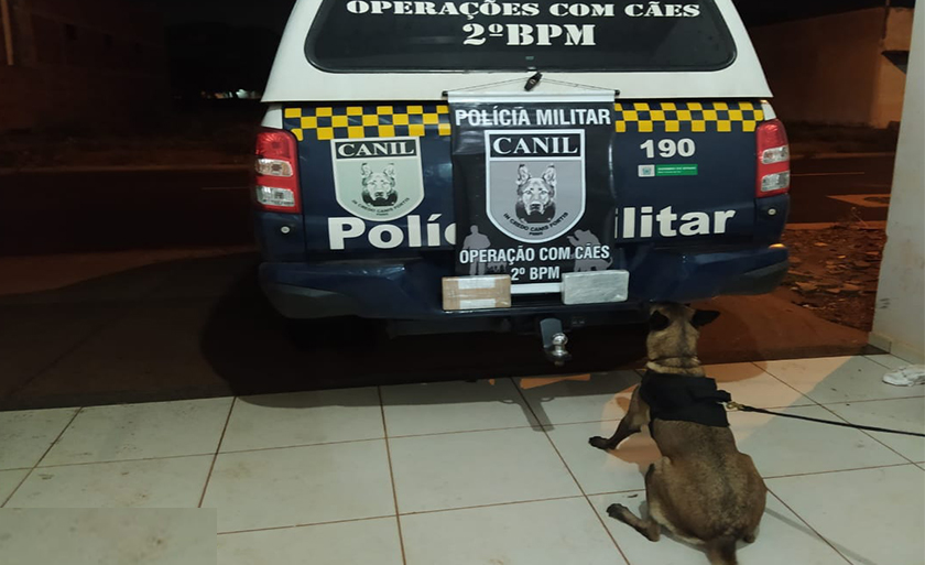 K9 Mara do 2°BPM identificou a mala contendo dois quilos de cocaína - Divulgação/PM