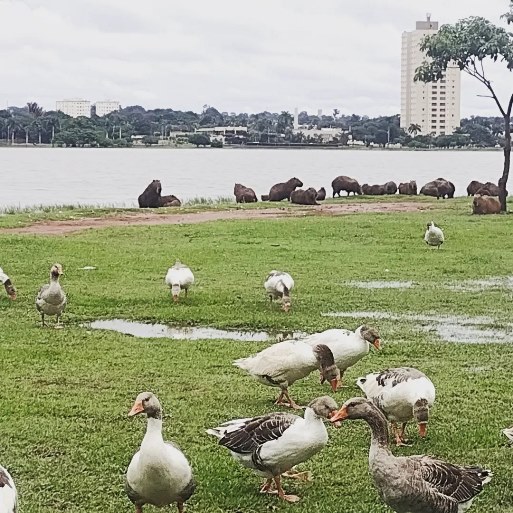 Feriado da Sexta-feira Santa será de tempo instável em Três Lagoas - arquivo/JPNews