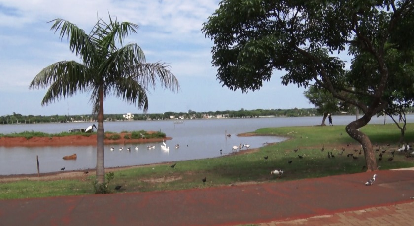 Ideia é transformar o local em um bosque, mas sem prejudicar a imagem do principal cartão postal da cidade. - Foto: Reprodução/TVC