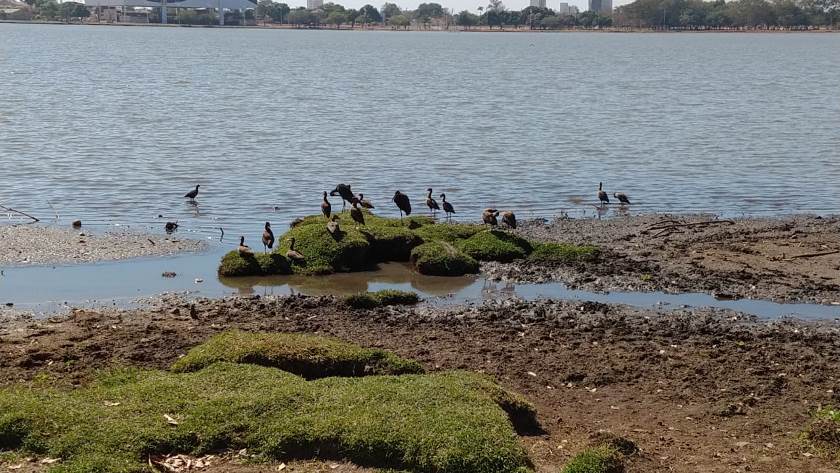 A temática do concurso é o turismo e a paisagem de Três Lagoas. - Divulgação/Assessoria