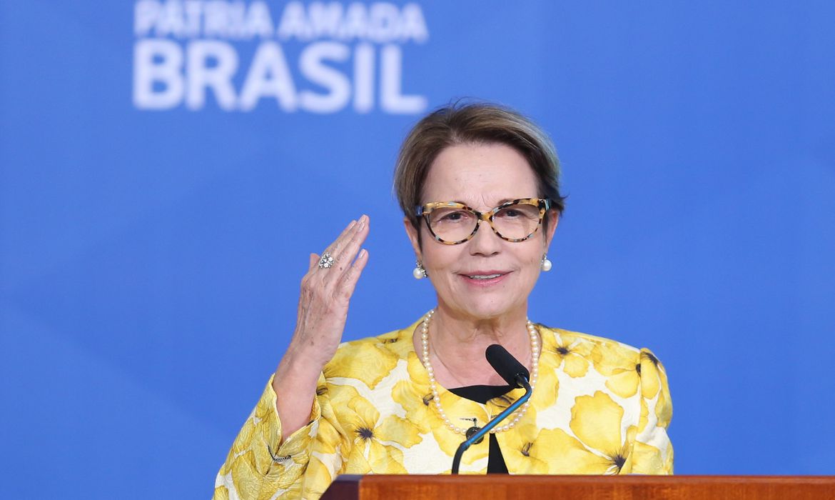 A candidata progressista tem quase quarenta por cento (39,39%) da preferência do eleitorado - Agência Brasil/Arquivo