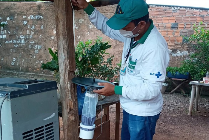 Estudo é dividido nas etapas de instalação de armadilhas, borrifação e encoleiramento - Foto: Renê Márcio/Prefeitura de Corumbá