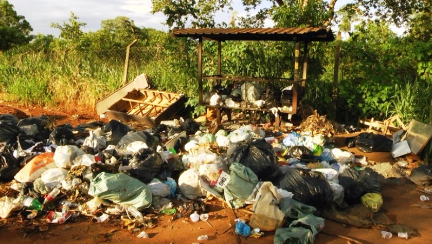 O ato pode ser enquadrado como crime ambiental - Reprodução TVC