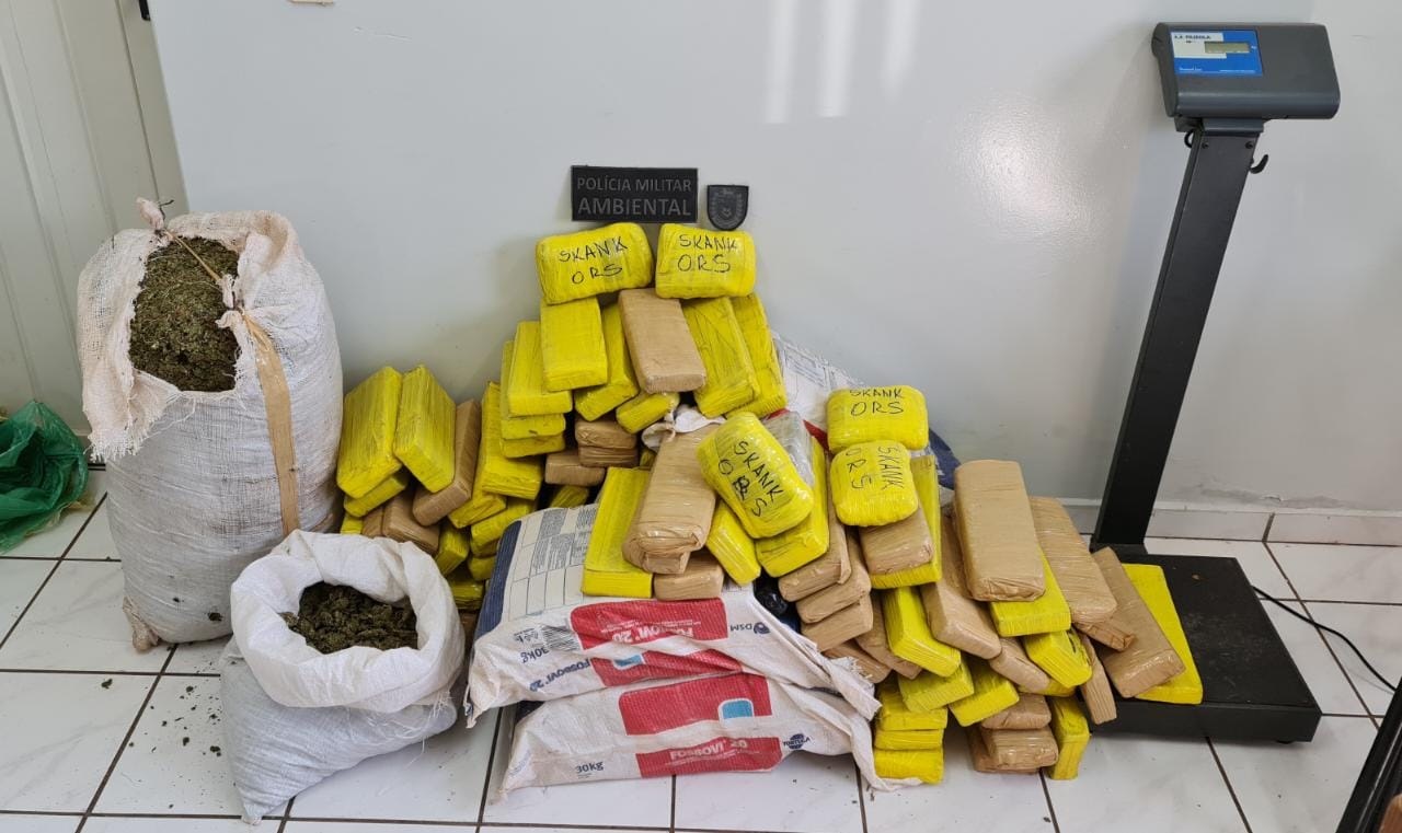 Foram encontradas 172,2 kg de maconha, sendo 2,6 kg da Skunk - Foto: Divulgação