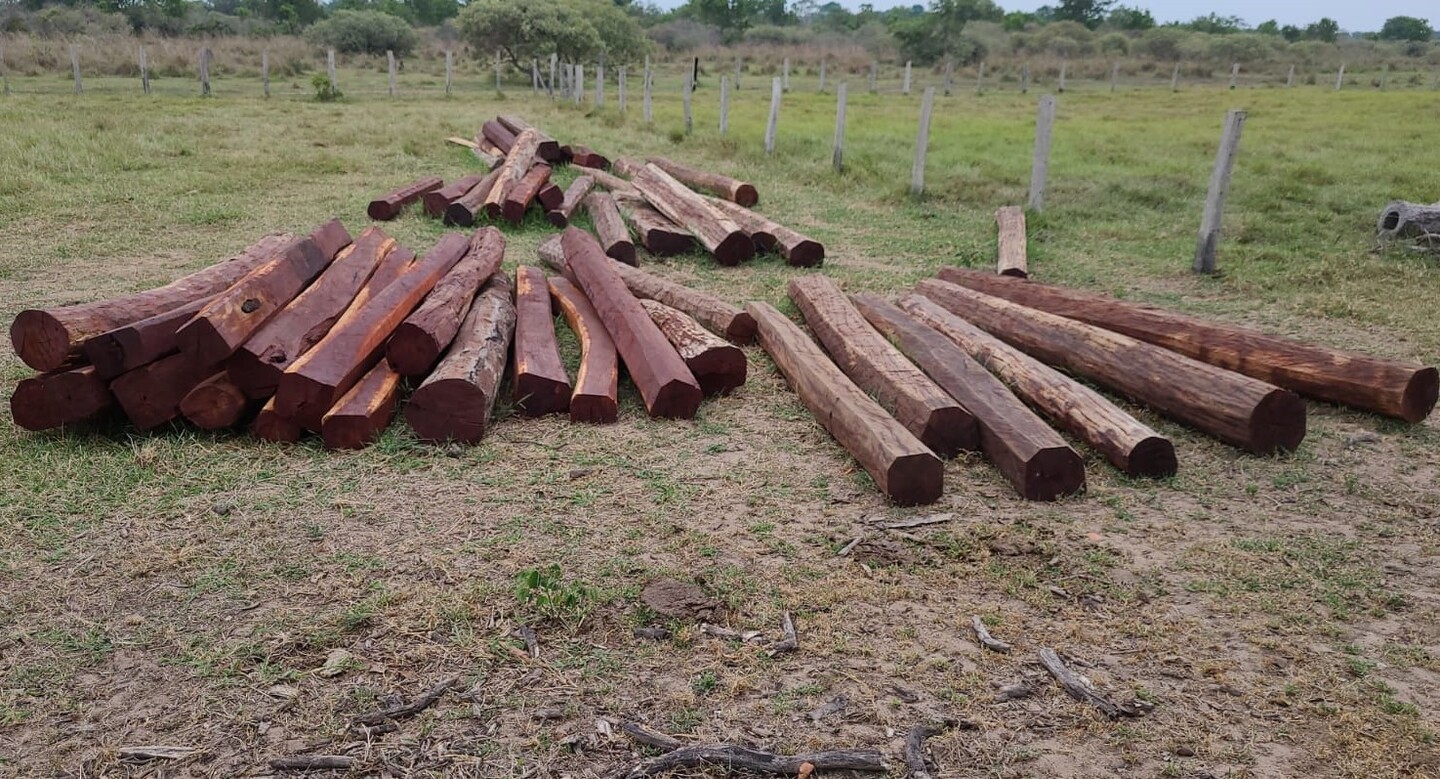 Foram apreendidos 73 palanques, sendo a maioria de aroeira - Foto: Divulgação/PMA