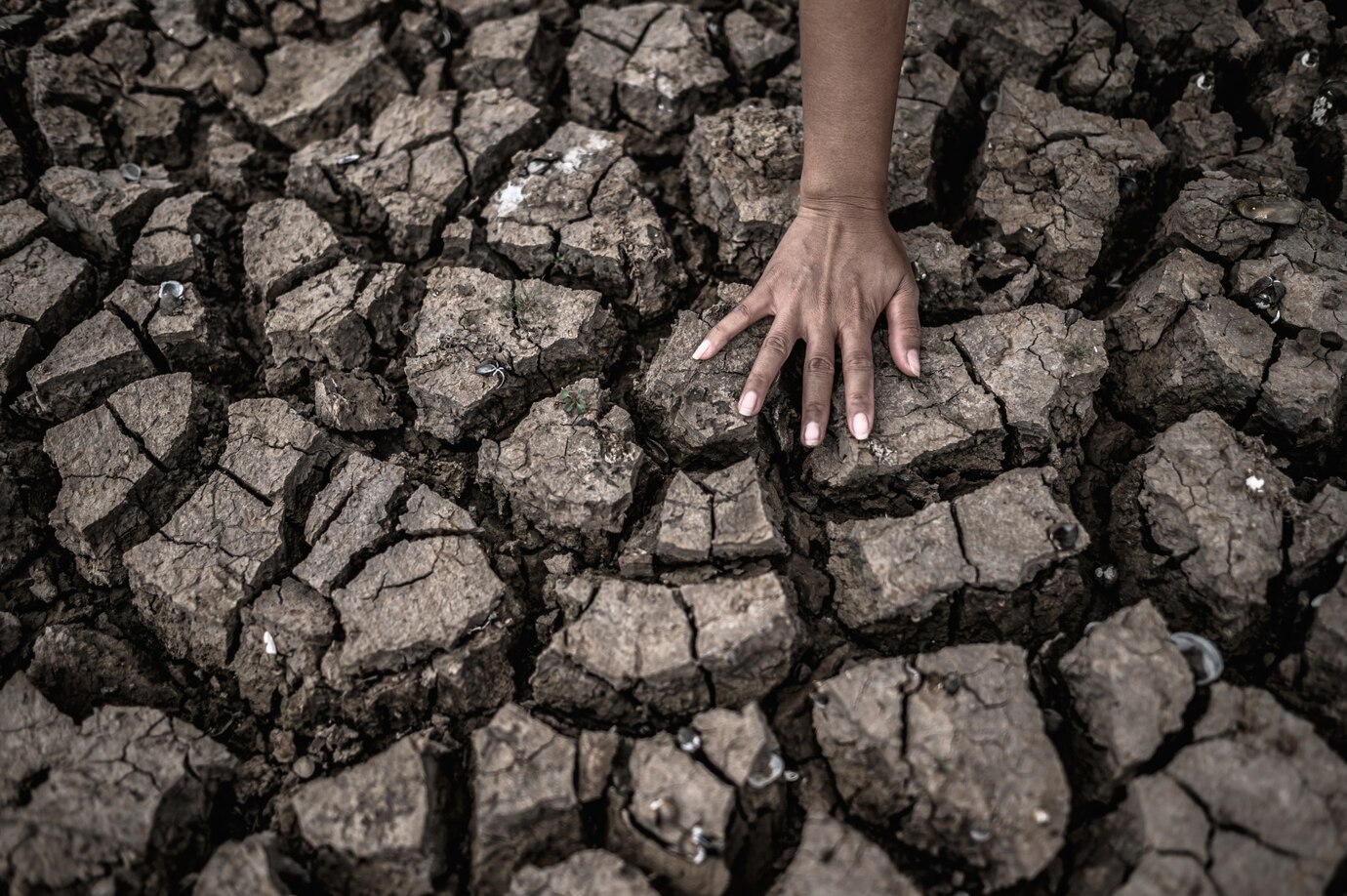 2023 foi o ano mais quente dos últimos 125 mil anos