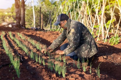 As famílias de comunidades rurais têm estímulos para produção e comércio dos hortifutis - Foto: Prefeitura de Maracaju