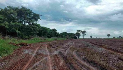 Área derrubada para plantio de lavoura e de pastagem equivale a quase cinco campos de futebol - Divulgação/PMA