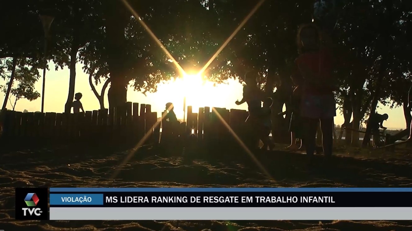 Mato Grosso do Sul lidera ranking de resgate em trabalho infantil