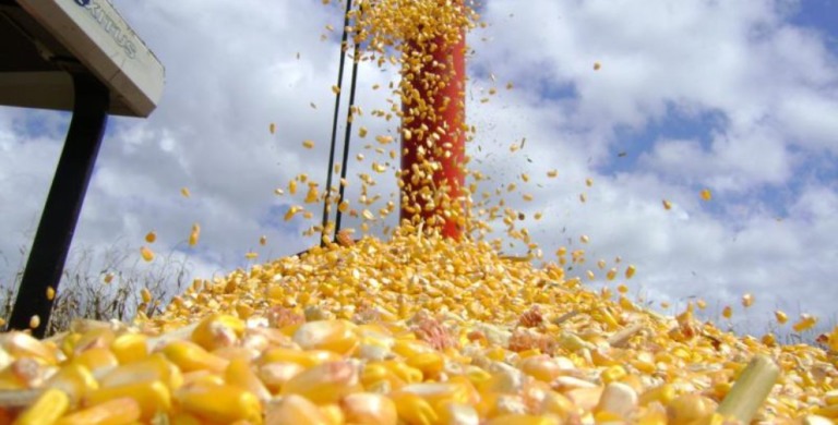 Alto preço da soja e milho no mercado mundial foram fatores que influenciaram crescimento - Foto: Portal MS