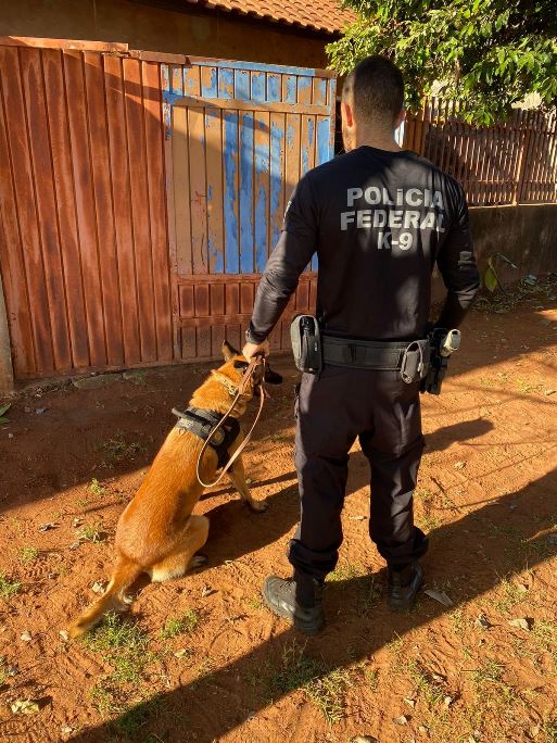 Os policiais encontram certa quantidade de cocaína - Divulgação/Polícia Federal