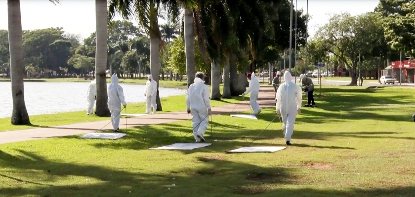 O monitoramento ocorre uma vez por ano na Lagoa Maior, principal cartão postal de Três Lagoas. - Reprodução/TVC